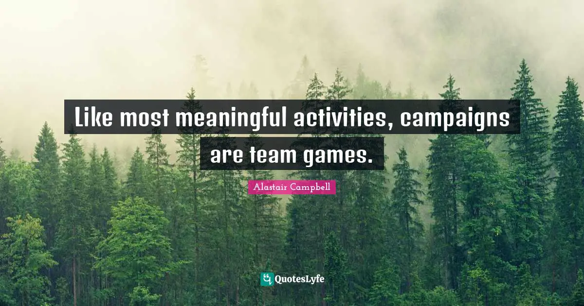 Like most meaningful activities, campaigns are team games.
