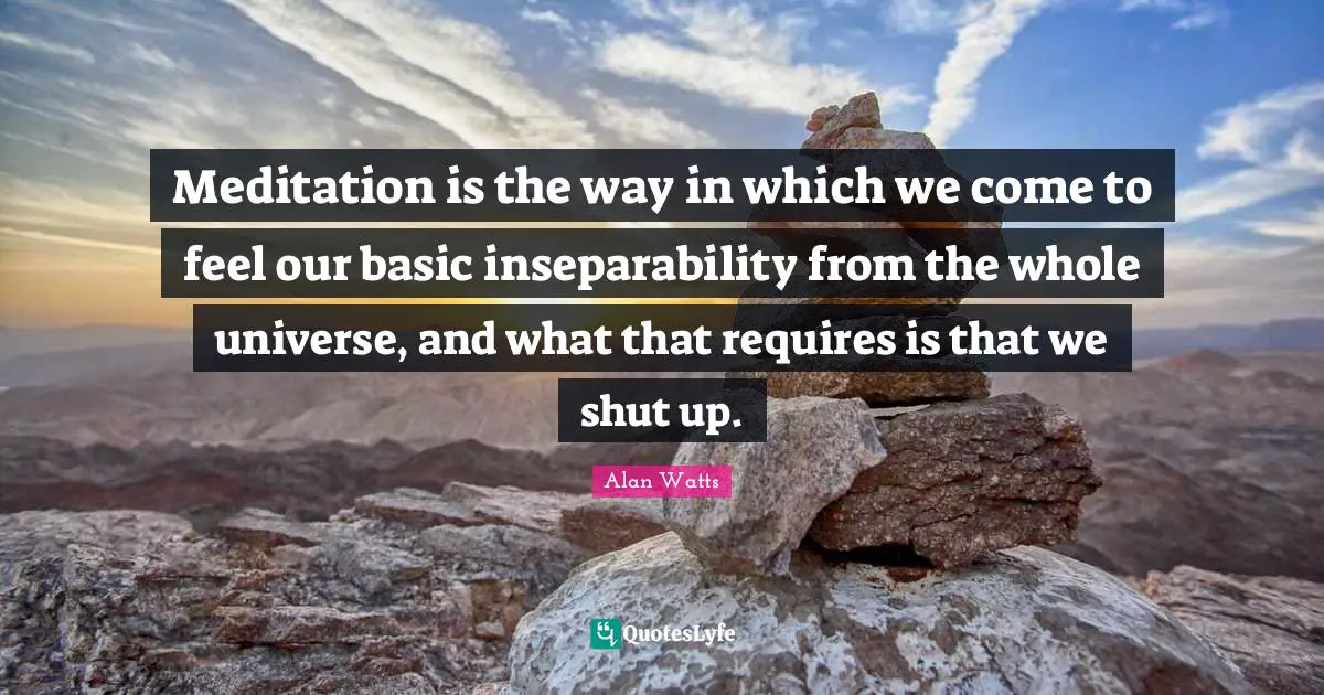 Meditation is the way in which we come to feel our basic inseparability from the whole universe, and what that requires is that we shut up.