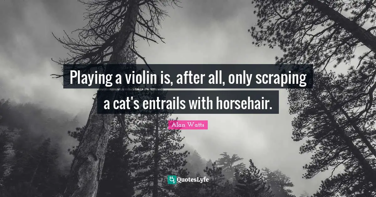 Playing a violin is, after all, only scraping a cat's entrails with horsehair.