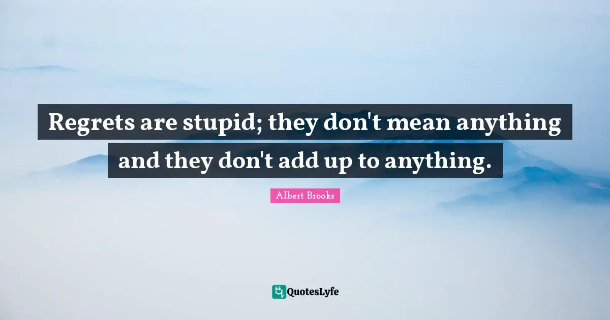 Regrets are stupid; they don't mean anything and they don't add up to anything.