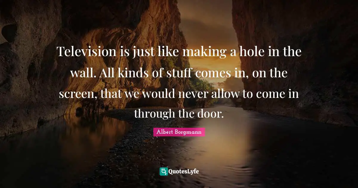 Television is just like making a hole in the wall. All kinds of stuff comes in, on the screen, that we would never allow to come in through the door.