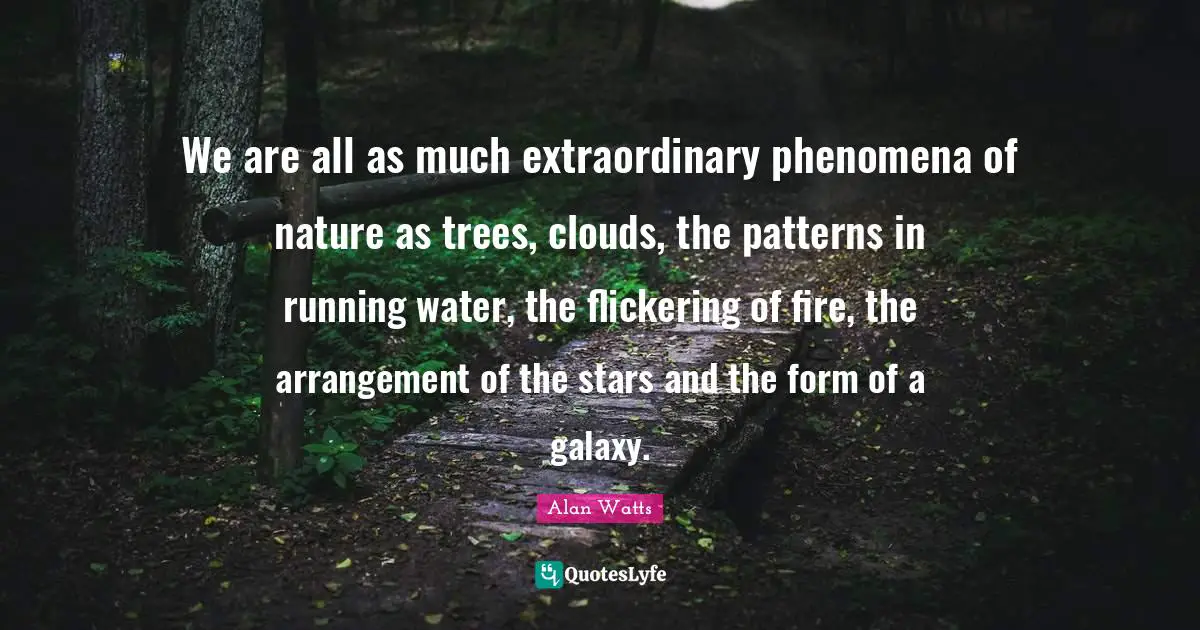 We are all as much extraordinary phenomena of nature as trees, clouds, the patterns in running water, the flickering of fire, the arrangement of the stars and the form of a galaxy.