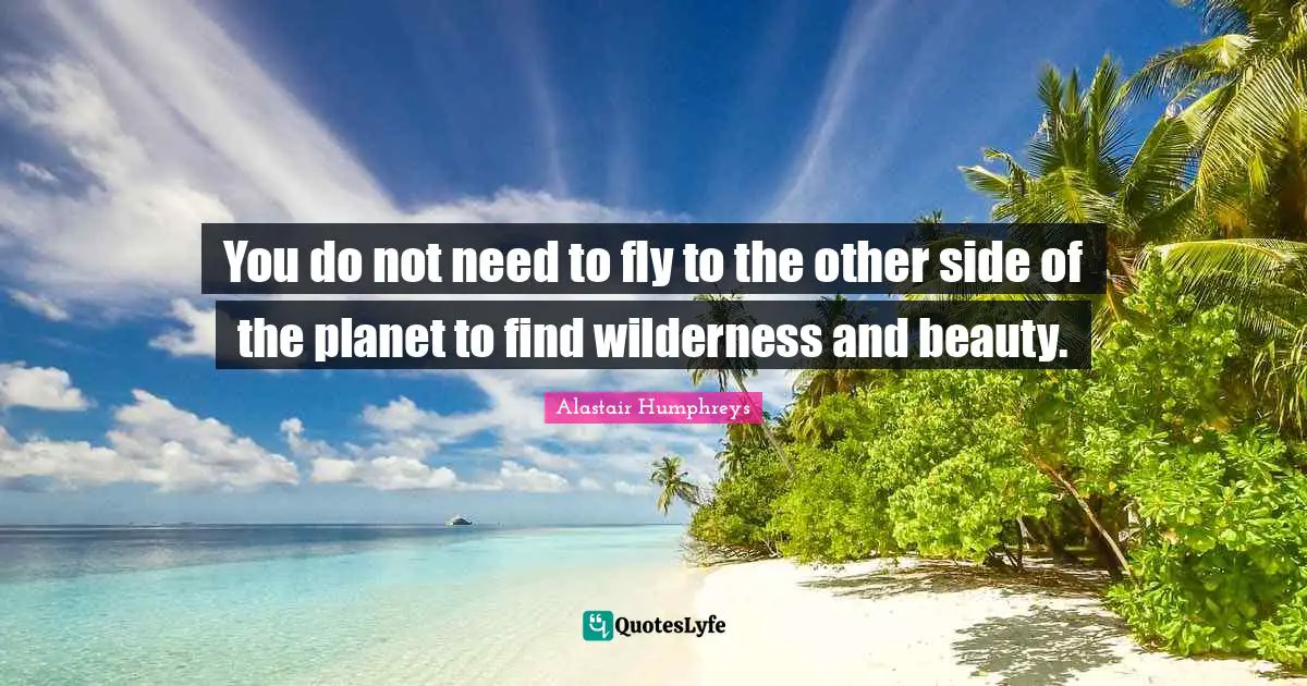 Wilderness Quotes: "You do not need to fly to the other side of the planet to find wilderness and beauty."