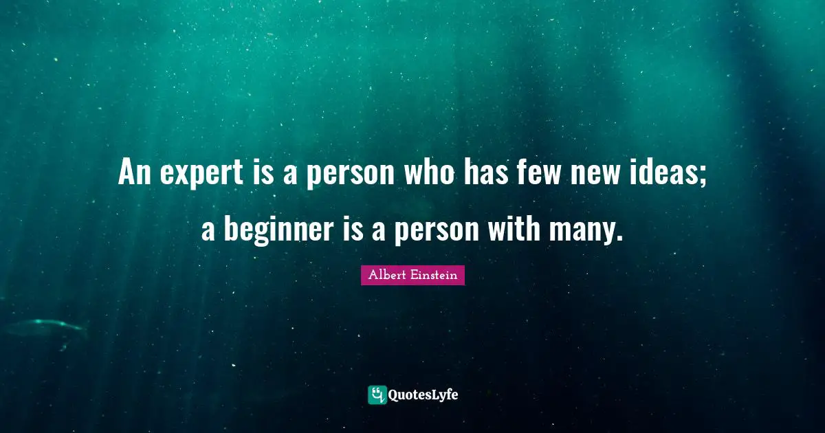An expert is a person who has few new ideas; a beginner is a person with many.