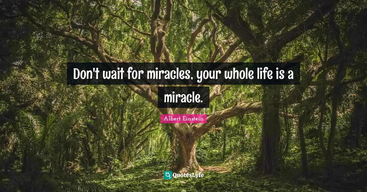 Whole Quotes: "Don't wait for miracles, your whole life is a miracle."
