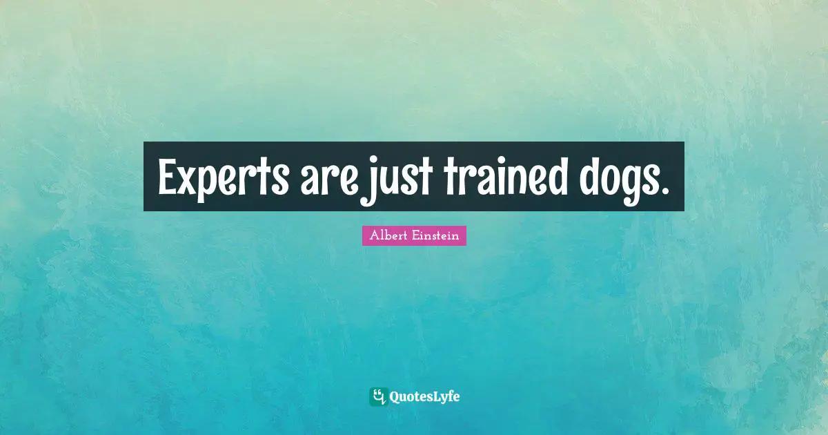 Experts are just trained dogs.