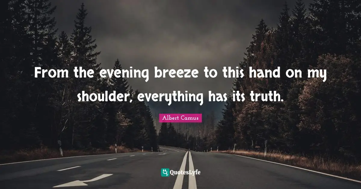 From the evening breeze to this hand on my shoulder, everything has its truth.