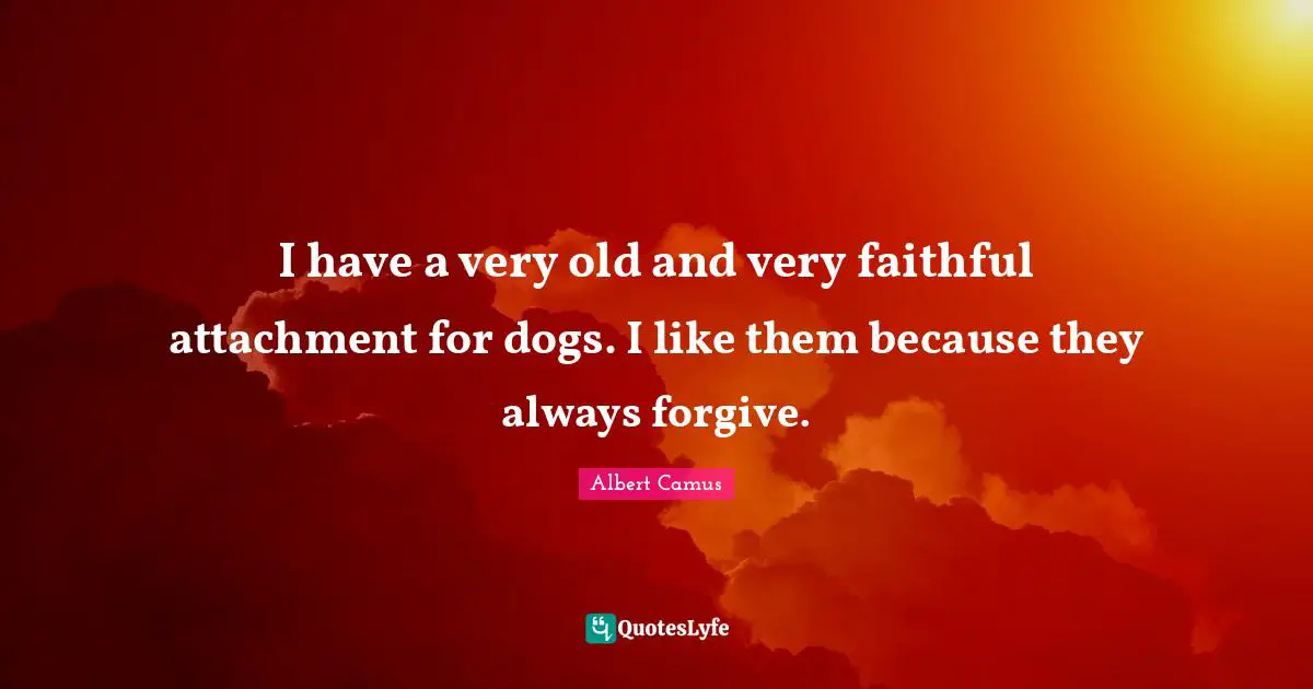 Attachment Quotes: "I have a very old and very faithful attachment for dogs. I like them because they always forgive."