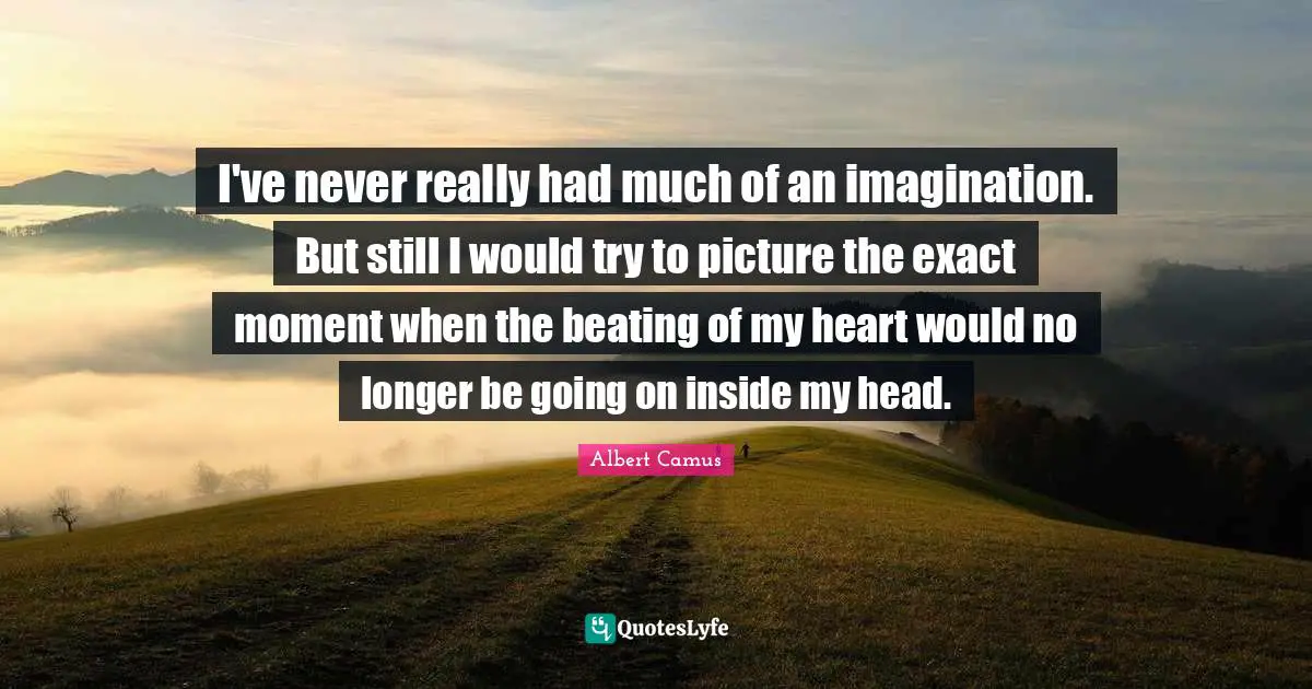 I've never really had much of an imagination. But still I would try to picture the exact moment when the beating of my heart would no longer be going on inside my head.