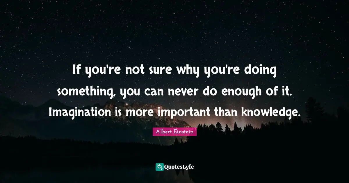 If you're not sure why you're doing something, you can never do enough of it. Imagination is more important than knowledge.