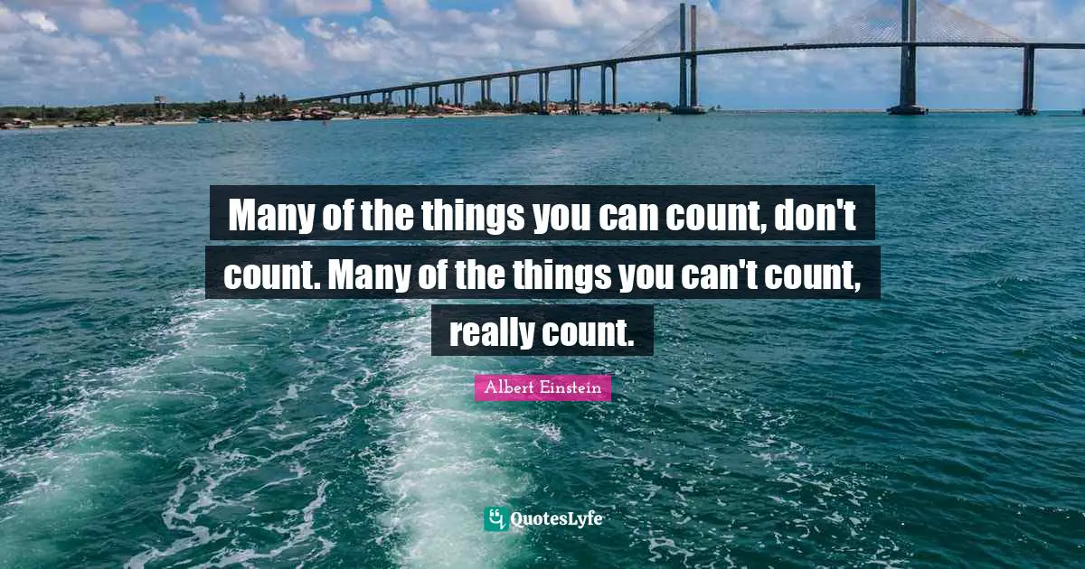 Many of the things you can count, don't count. Many of the things you can't count, really count.