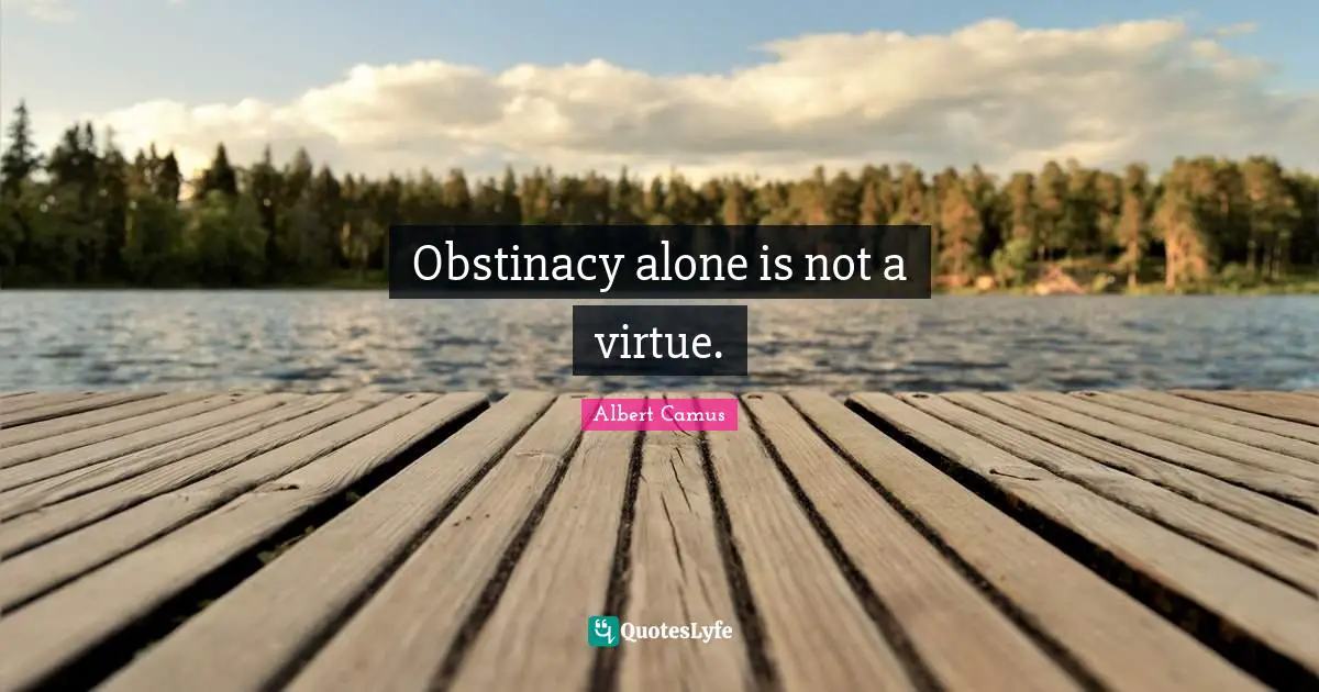 Obstinacy alone is not a virtue.