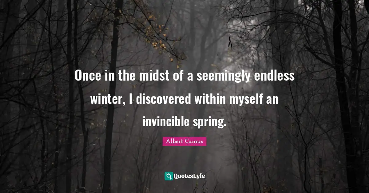 Once in the midst of a seemingly endless winter, I discovered within myself an invincible spring.