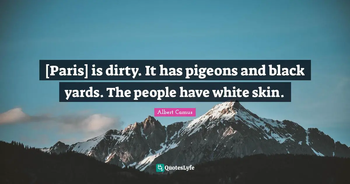 [Paris] is dirty. It has pigeons and black yards. The people have white skin.