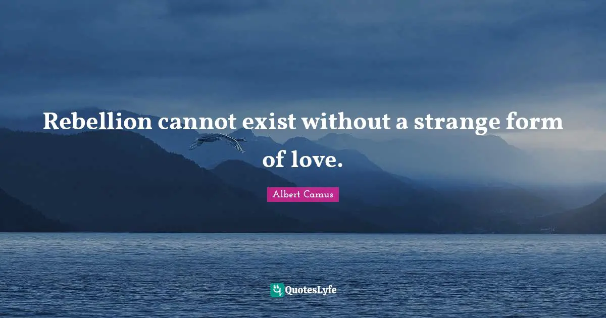 Rebellion cannot exist without a strange form of love.