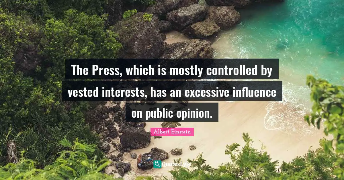 The Press, which is mostly controlled by vested interests, has an excessive influence on public opinion.