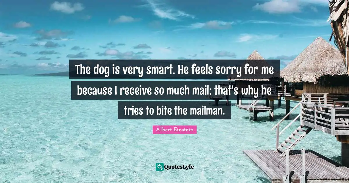 Very Smart Quotes: "The dog is very smart. He feels sorry for me because I receive so much mail; that's why he tries to bite the mailman."