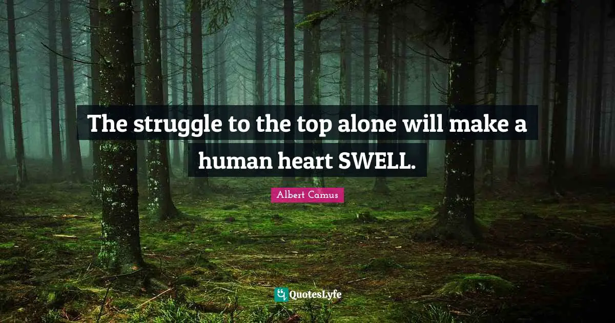 The struggle to the top alone will make a human heart SWELL.