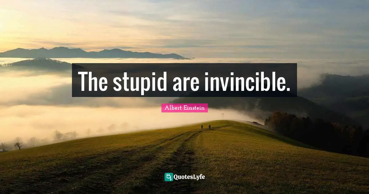 The stupid are invincible.
