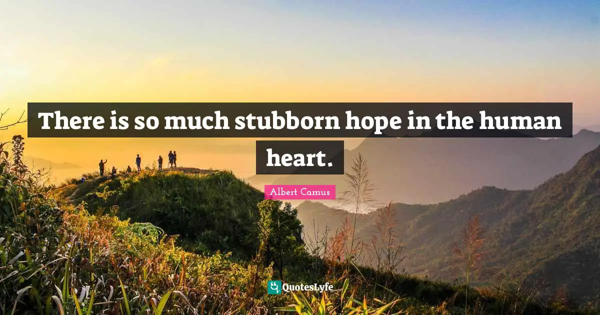 There is so much stubborn hope in the human heart.