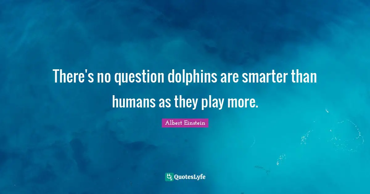 Smarter Quotes: "There's no question dolphins are smarter than humans as they play more."