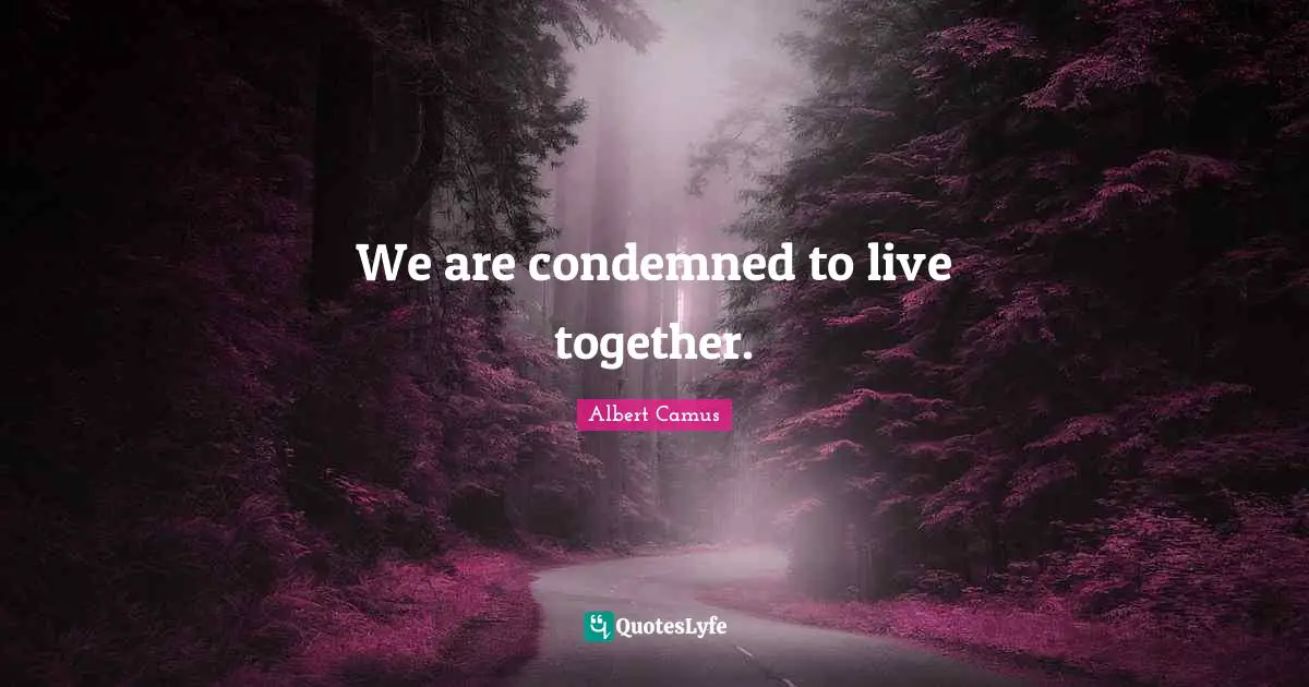 We are condemned to live together.