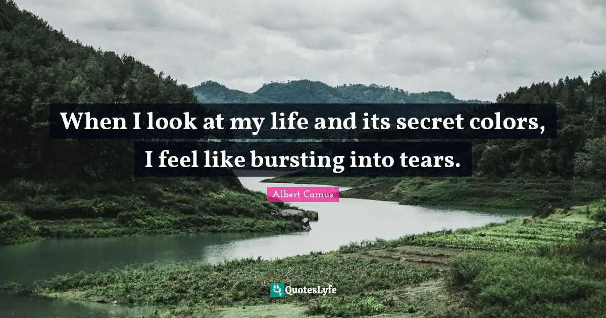 When I look at my life and its secret colors, I feel like bursting into tears.