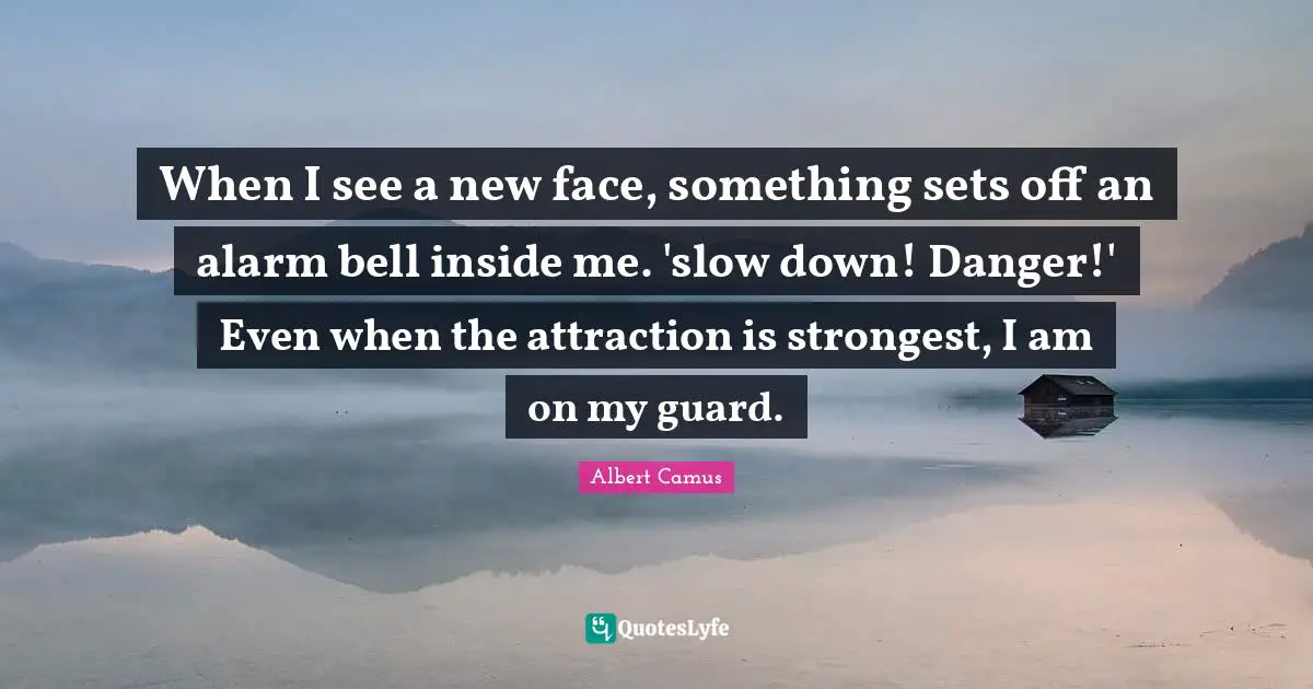 When I see a new face, something sets off an alarm bell inside me. 'slow down! Danger!' Even when the attraction is strongest, I am on my guard.