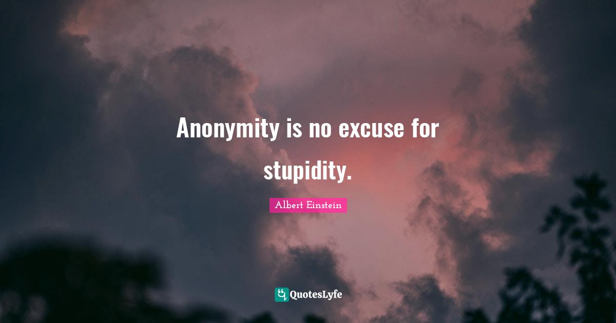 Excuses Quotes: "Anonymity is no excuse for stupidity."