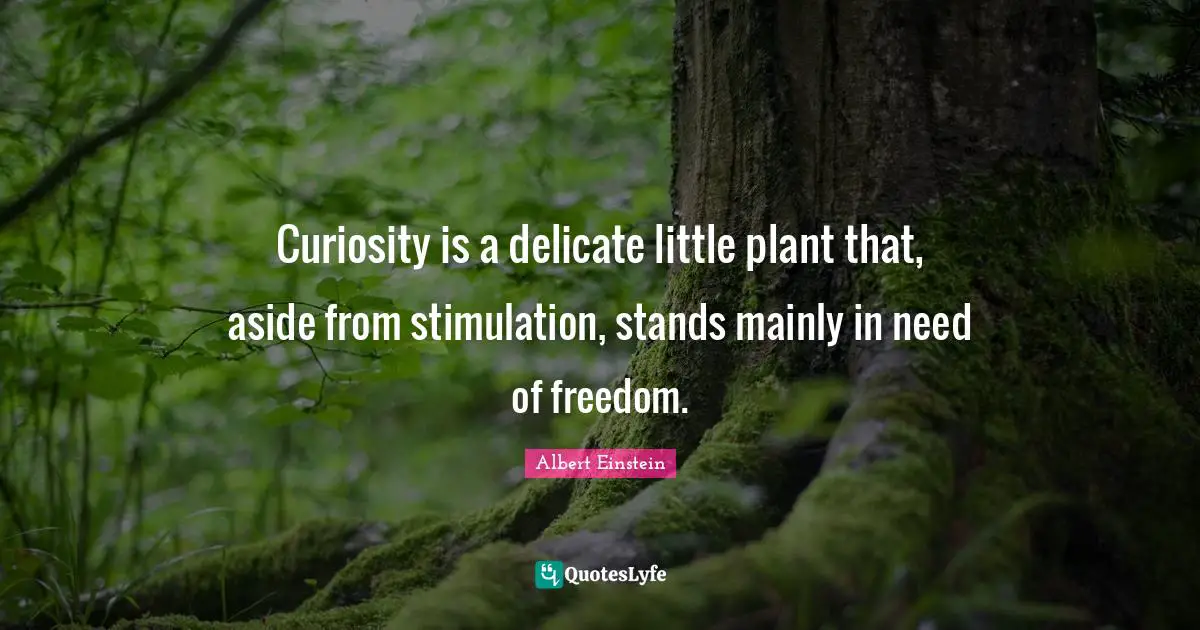 Curiosity is a delicate little plant that, aside from stimulation, stands mainly in need of freedom.