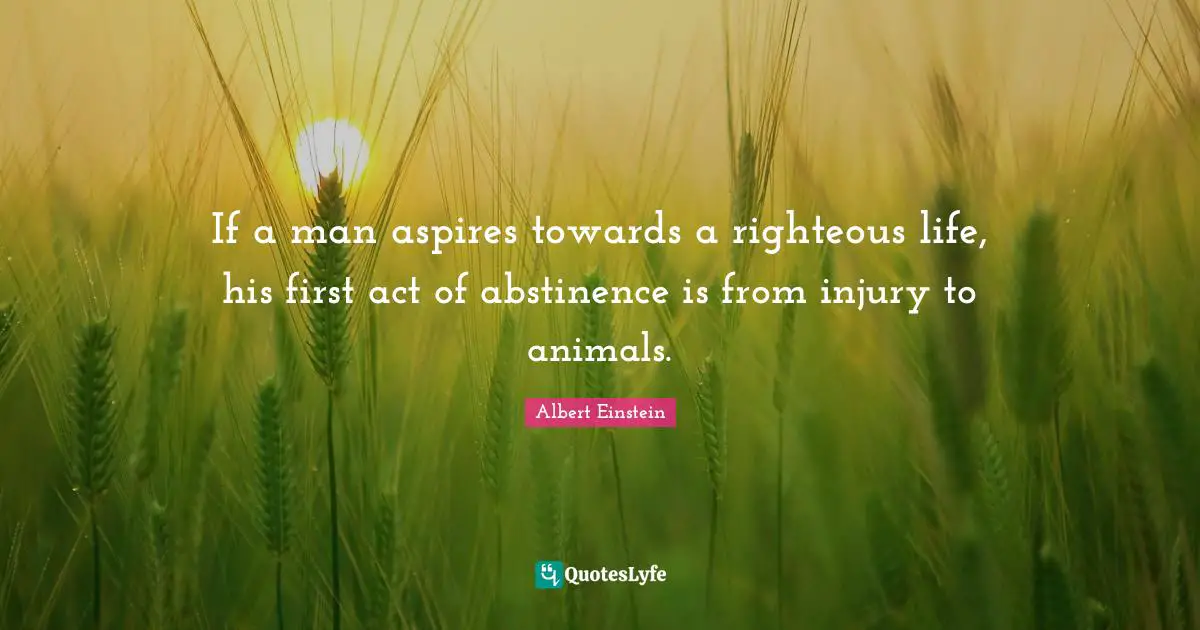 Animal Quotes: "If a man aspires towards a righteous life, his first act of abstinence is from injury to animals."