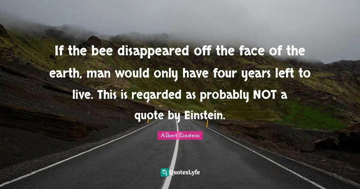 If the bee disappeared off the face of the earth, man would only have four years left to live. This is regarded as probably NOT a quote by Einstein.