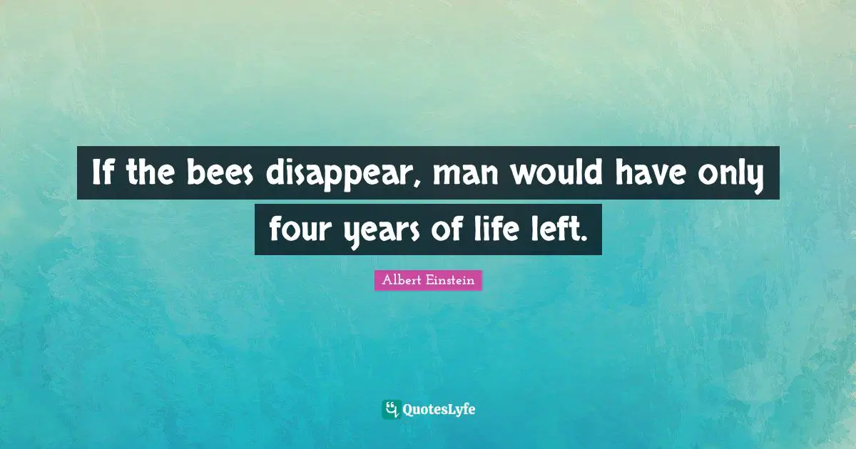 If the bees disappear, man would have only four years of life left.