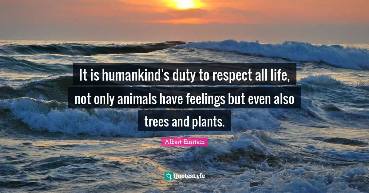 It is humankind's duty to respect all life, not only animals have feelings but even also trees and plants.