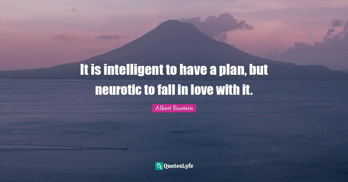 It is intelligent to have a plan, but neurotic to fall in love with it.