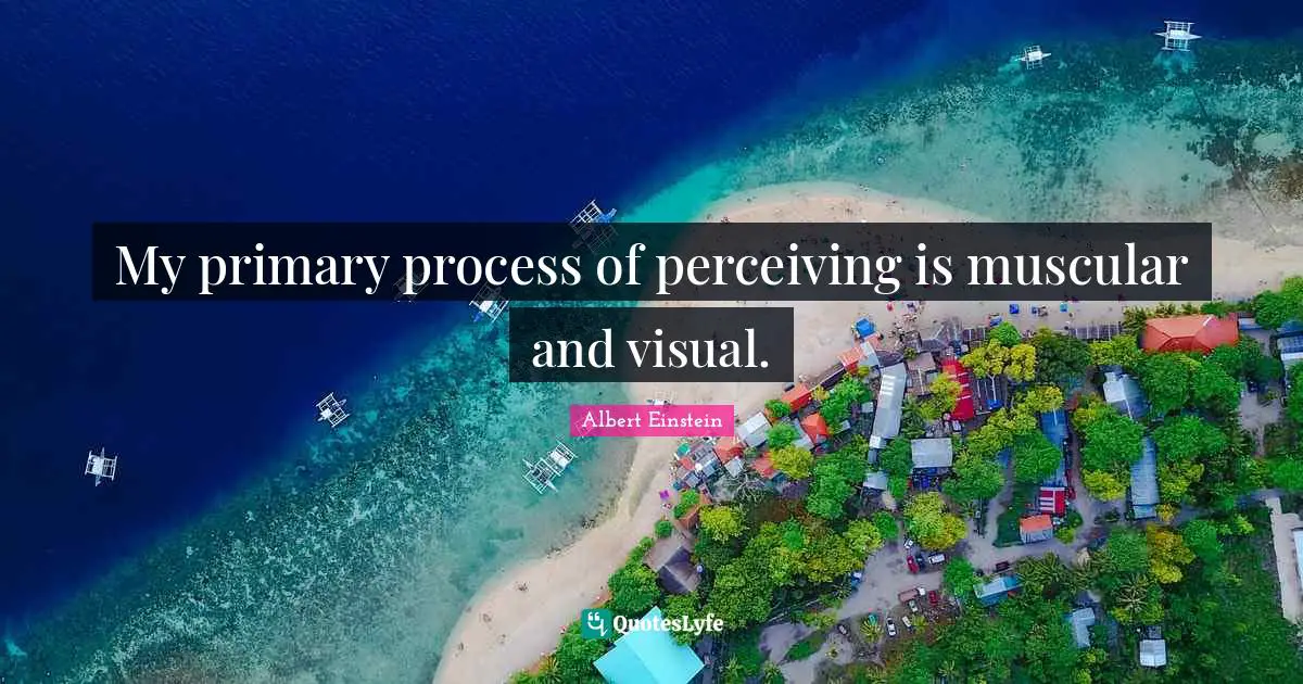 My primary process of perceiving is muscular and visual.