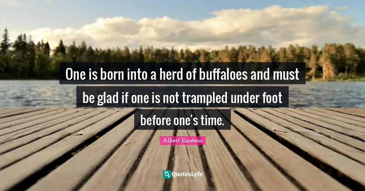One is born into a herd of buffaloes and must be glad if one is not trampled under foot before one's time.
