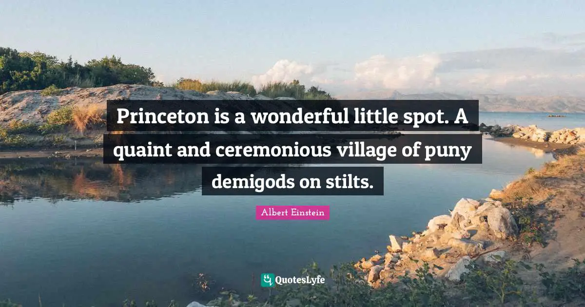 Princeton is a wonderful little spot. A quaint and ceremonious village of puny demigods on stilts.