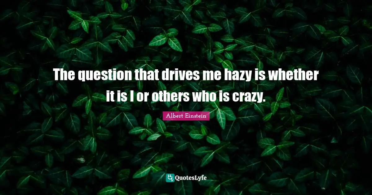 The question that drives me hazy is whether it is I or others who is crazy.