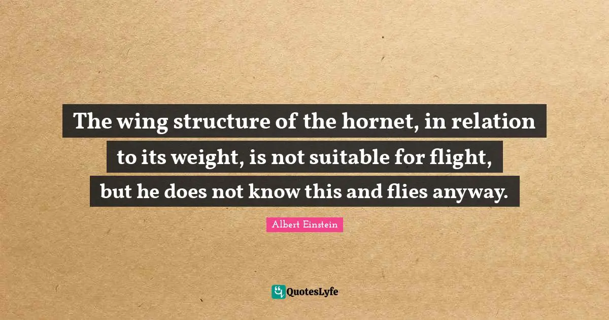Relation Quotes: "The wing structure of the hornet, in relation to its weight, is not suitable for flight, but he does not know this and flies anyway."