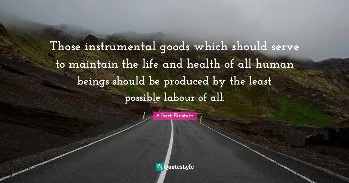 Those instrumental goods which should serve to maintain the life and health of all human beings should be produced by the least possible labour of all.