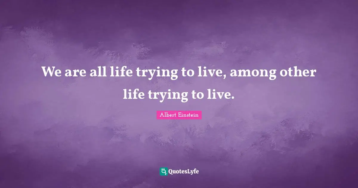 We are all life trying to live, among other life trying to live.