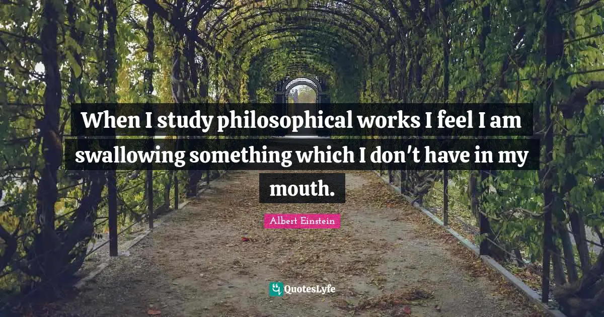 When I study philosophical works I feel I am swallowing something which I don't have in my mouth.