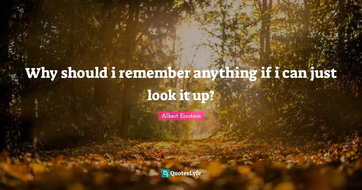 Why should i remember anything if i can just look it up?