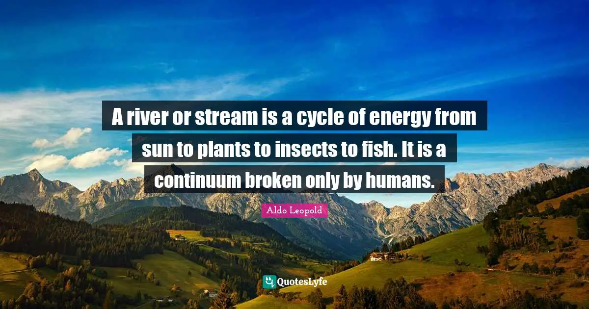 A river or stream is a cycle of energy from sun to plants to insects to fish. It is a continuum broken only by humans.