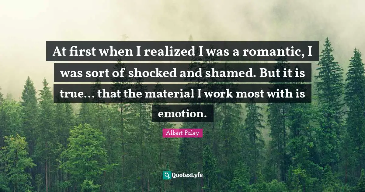 At first when I realized I was a romantic, I was sort of shocked and shamed. But it is true... that the material I work most with is emotion.