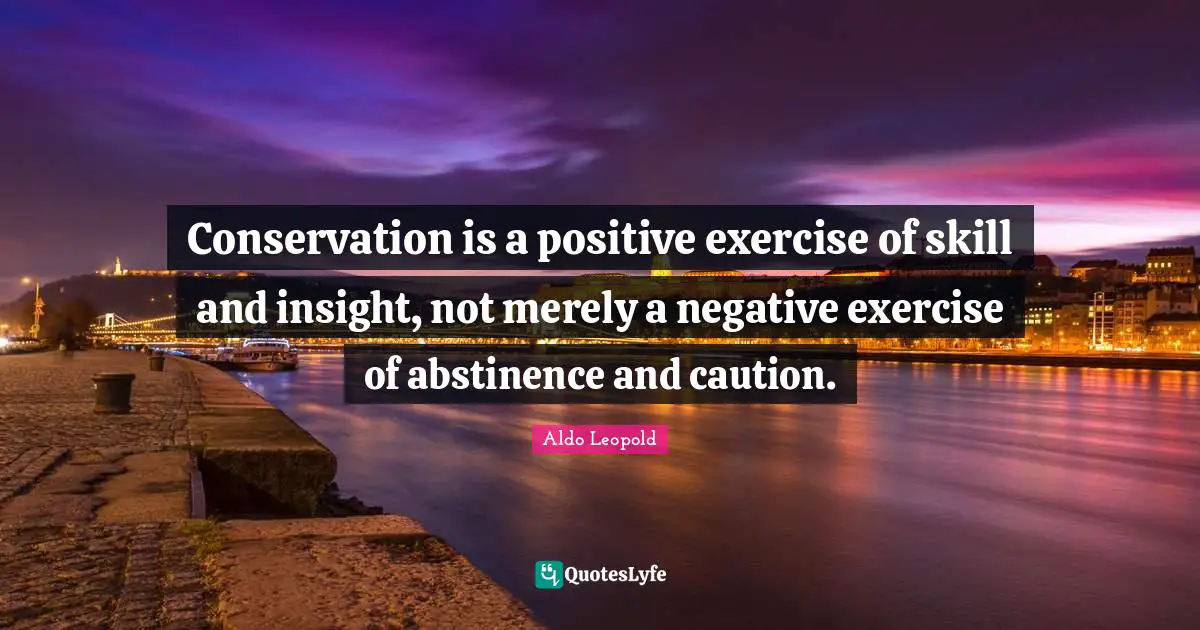 Conservation is a positive exercise of skill and insight, not merely a negative exercise of abstinence and caution.
