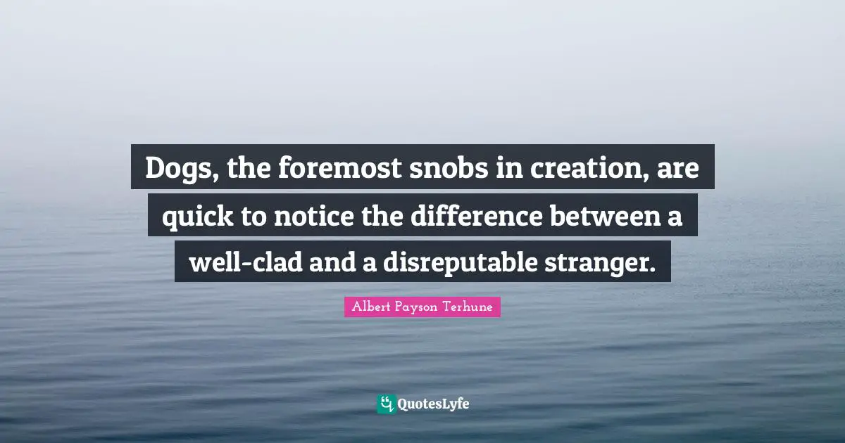 Dogs, the foremost snobs in creation, are quick to notice the difference between a well-clad and a disreputable stranger.