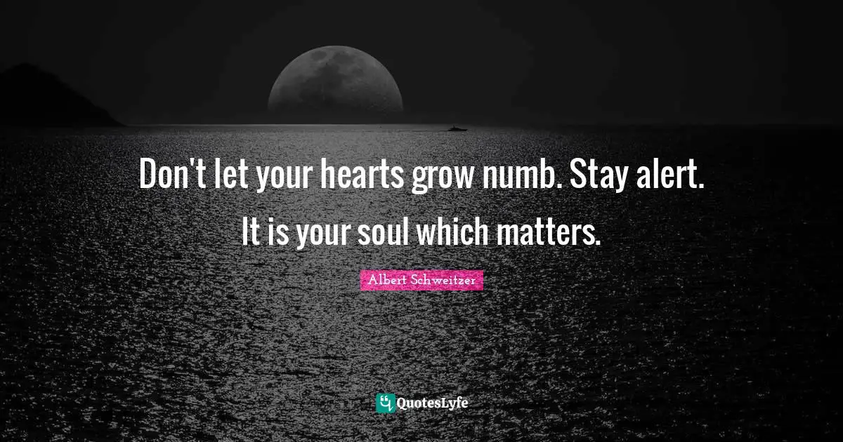 Don't let your hearts grow numb. Stay alert. It is your soul which matters.