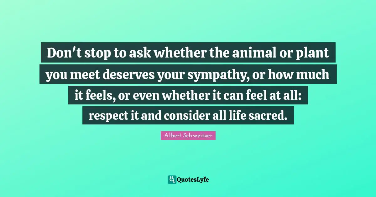 Don't stop to ask whether the animal or plant you meet deserves your sympathy, or how much it feels, or even whether it can feel at all: respect it and consider all life sacred.